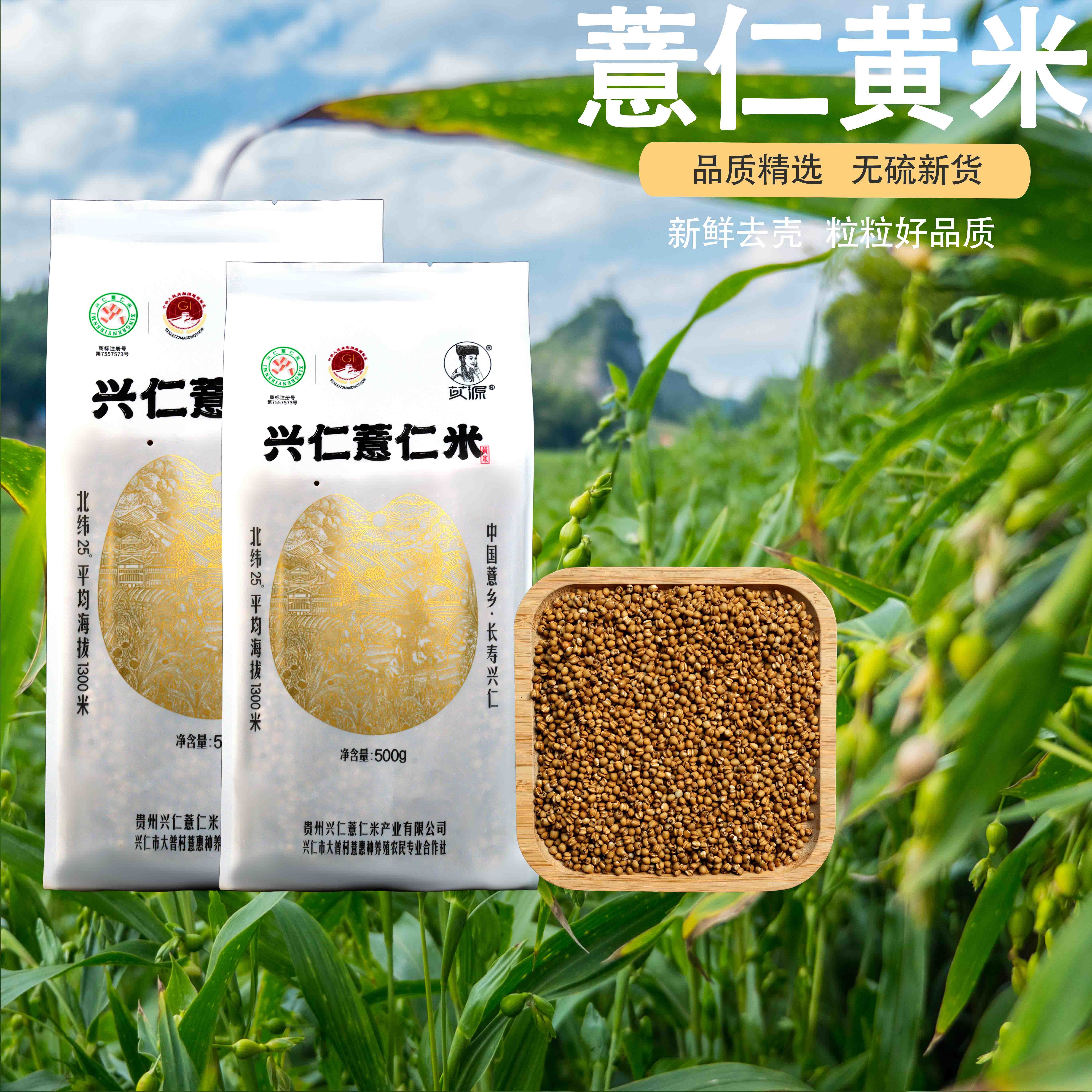 興仁薏仁黃米