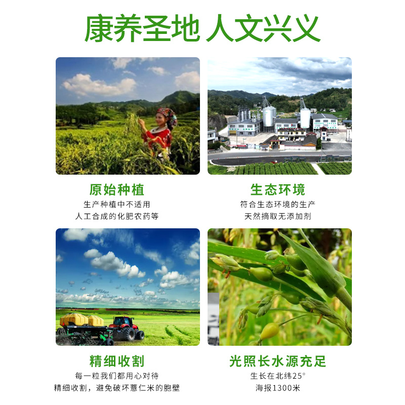 興仁薏仁瓣米
