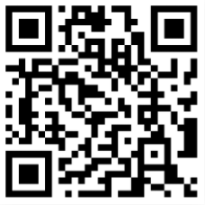 Mobile Website