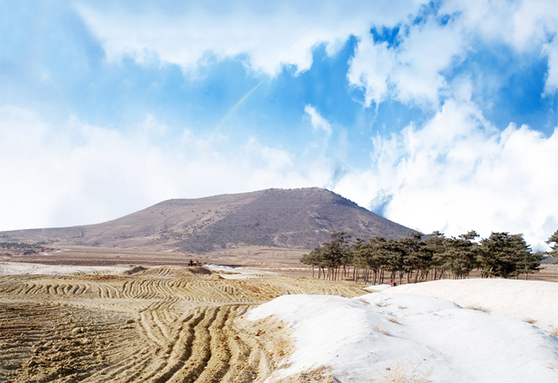公司矿山 公司矿山
