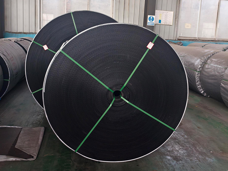 Acid and alkali resistant conveyor belt