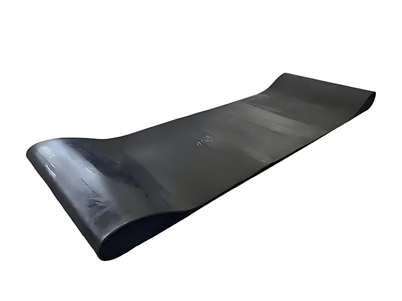 Ring conveyor belt