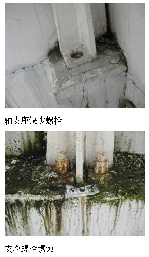 泰州某花卉交易大厅网架结构检测