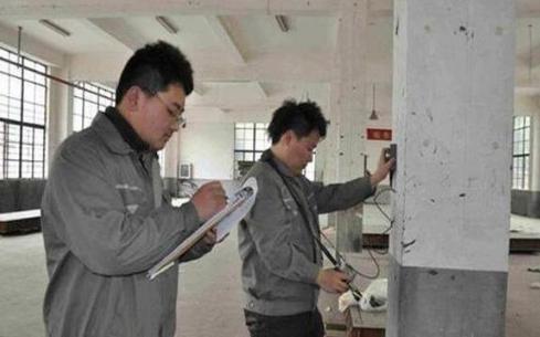 新澳门免费原料网