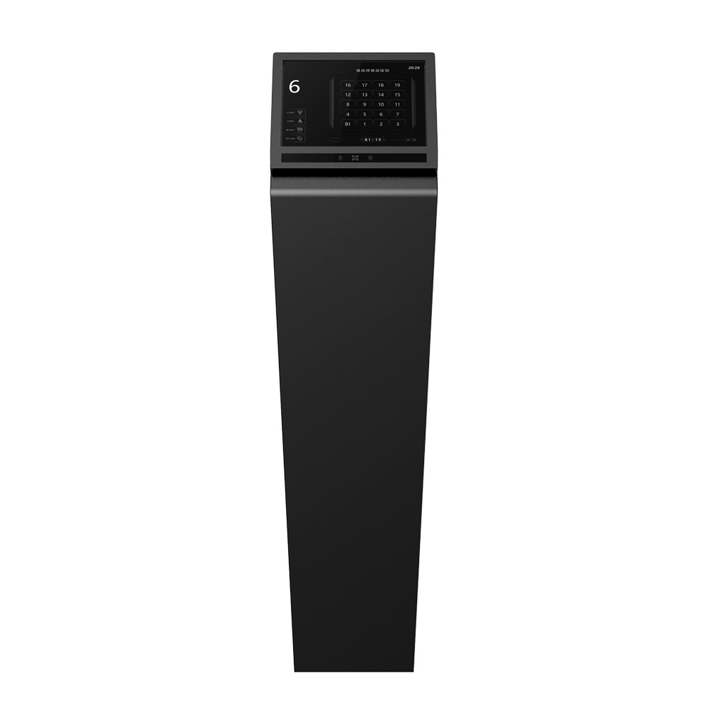 Standing Type DSC