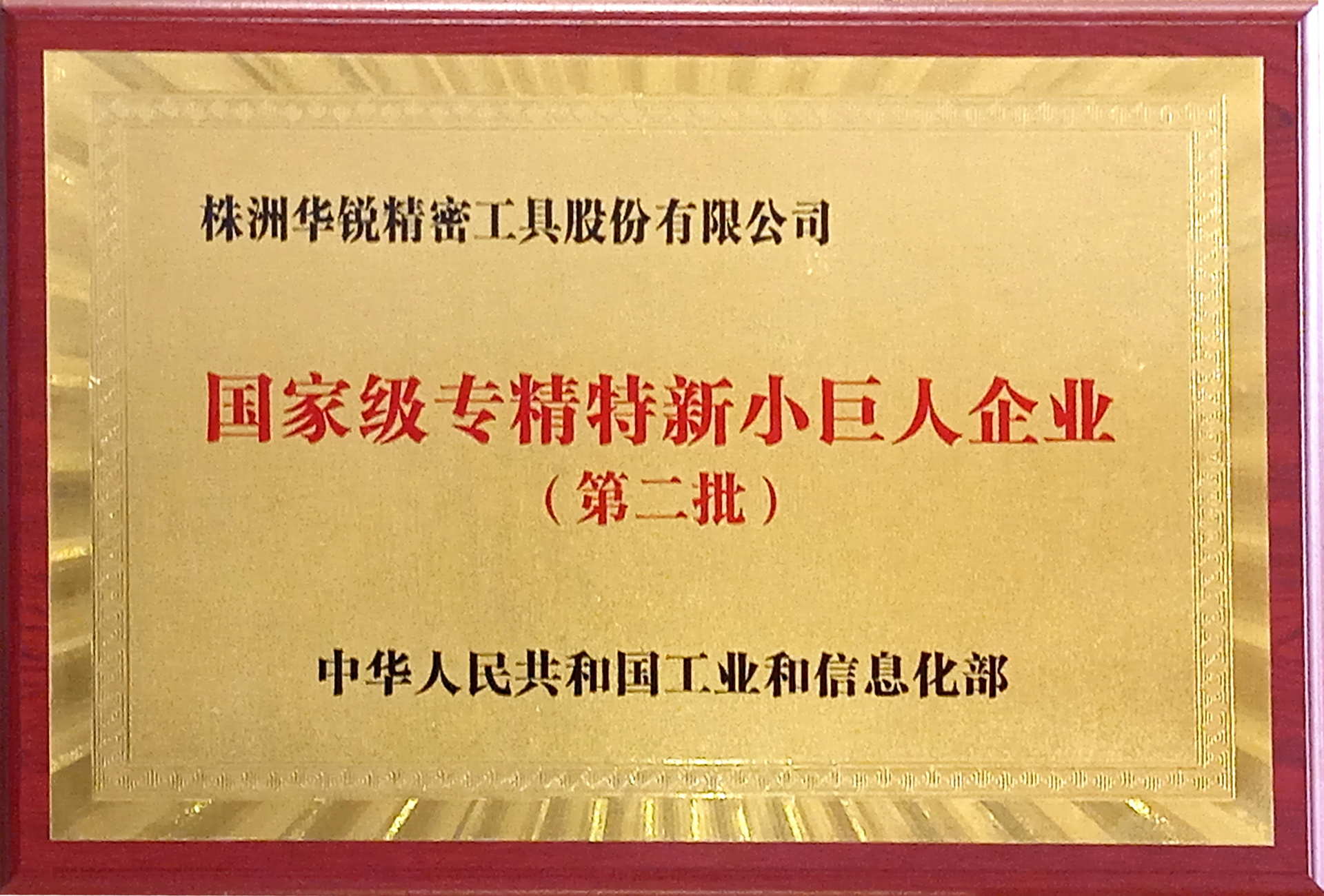國家級專精特新小巨人企業(yè)