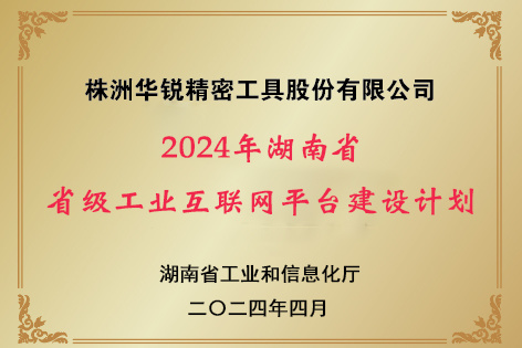 2024年湖南省 省級(jí)工業(yè)互聯(lián)網(wǎng)平臺(tái)建設(shè)計(jì)劃