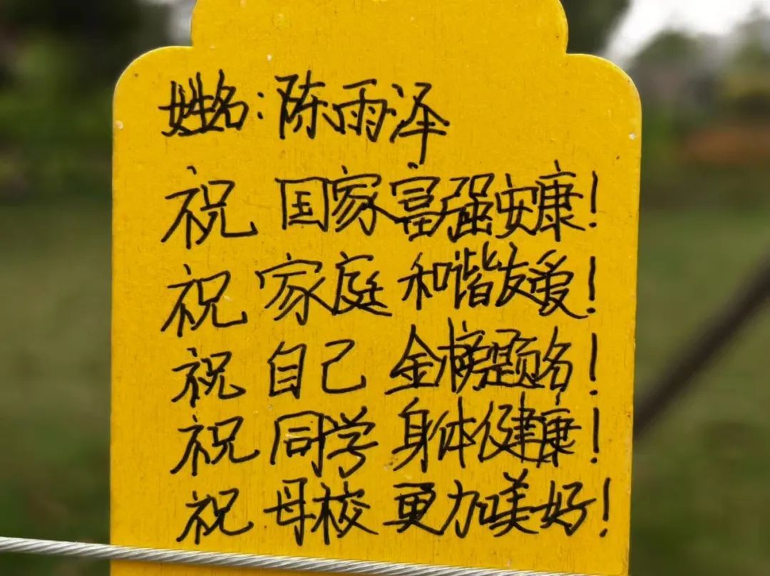 0fd3b7ced3aaf8a5fc793bfdecc7710.jpg