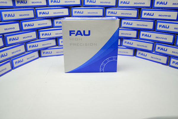 FAU new box