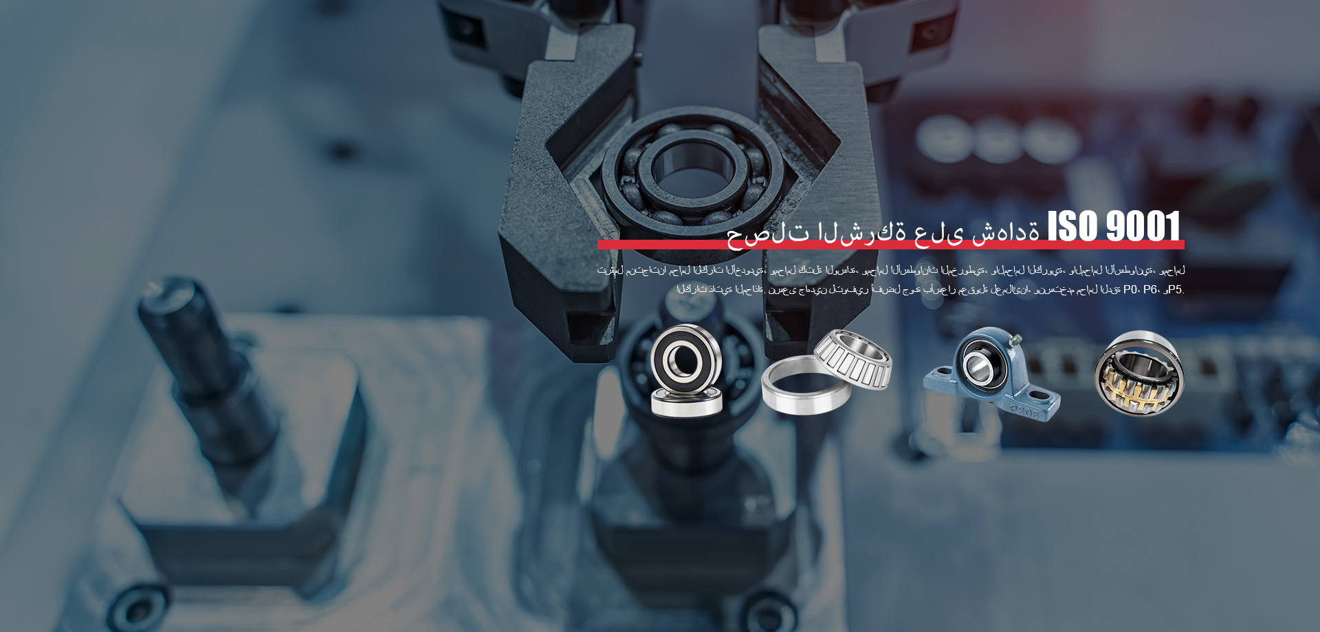 شركة جينان باكسين للصناعة والتجارة المحدودة.
