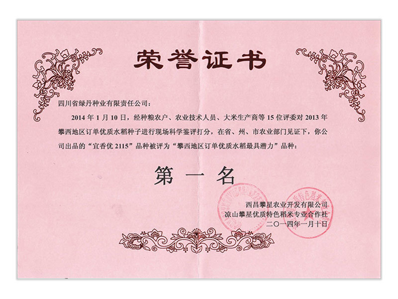 荣誉证书