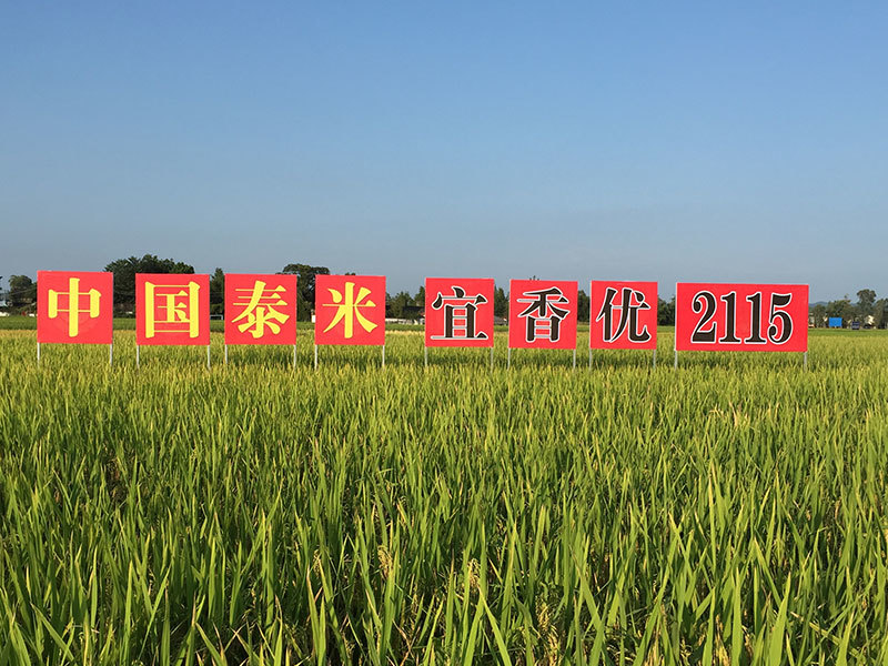 风采展示 风采展示