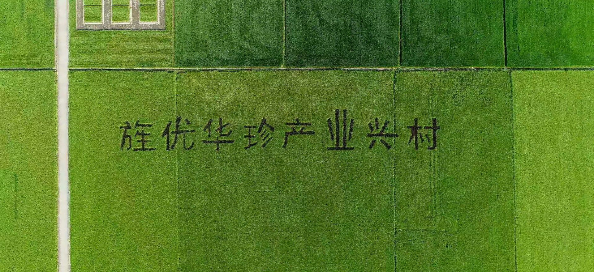 mg娱乐电子游戏官网版