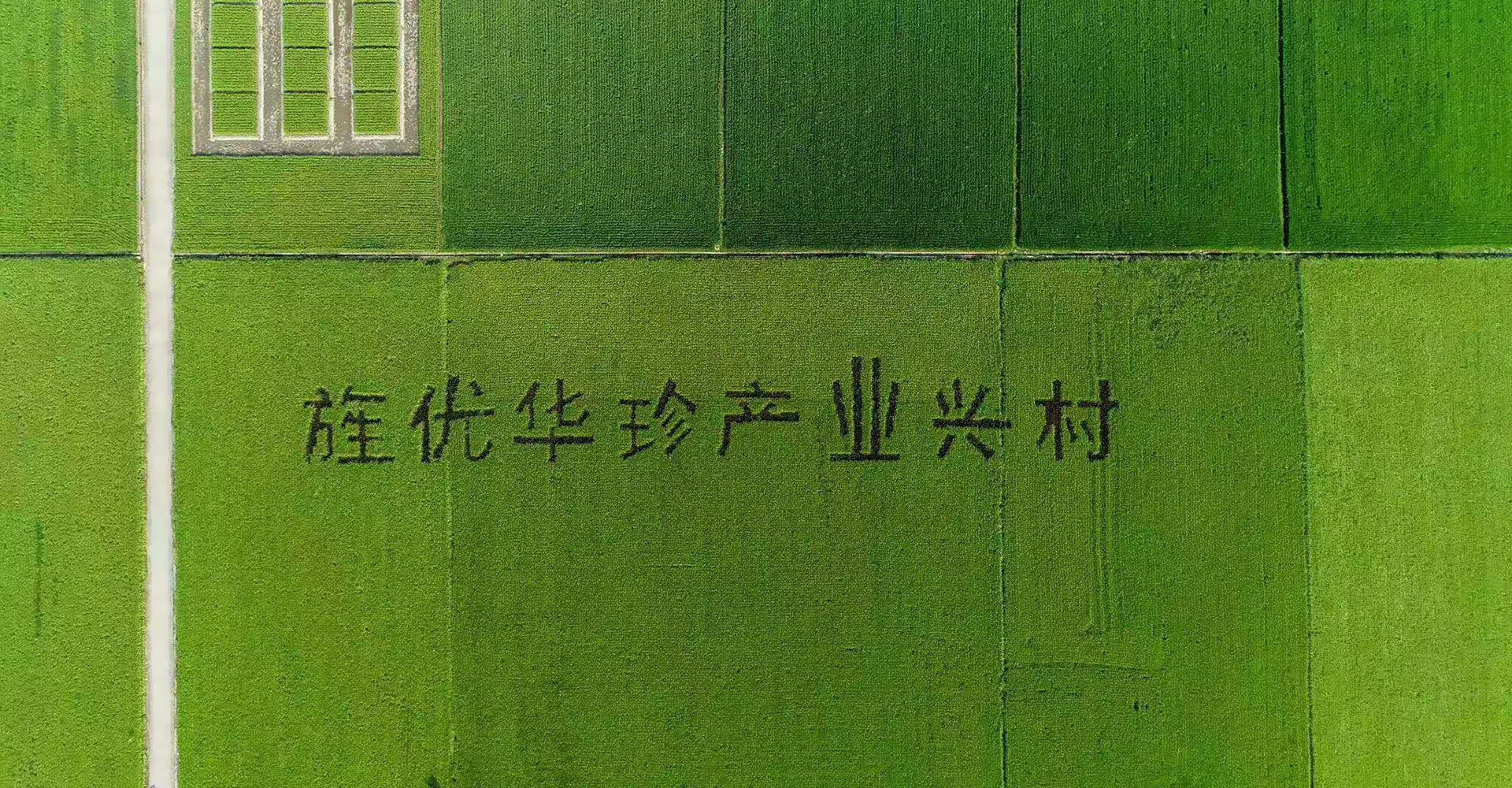 产品中心