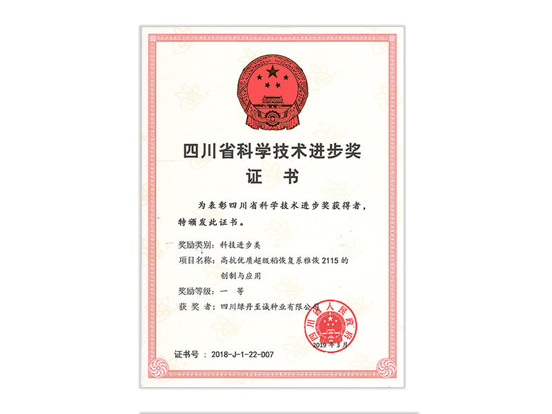 四川省科学技术进步奖证书