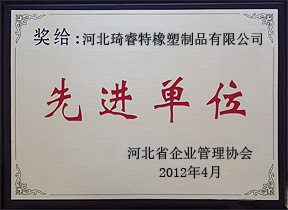 資質(zhì)文件