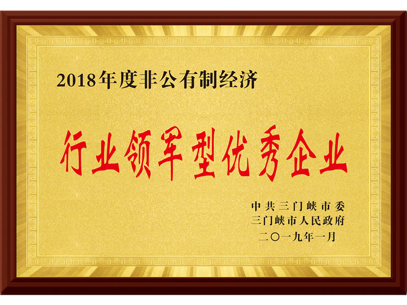 行業領軍型優秀企業