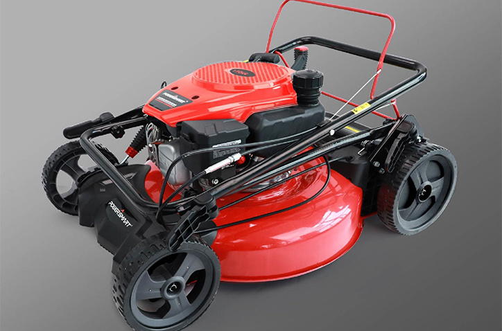 What are the considerations for reducing grass seed costs?