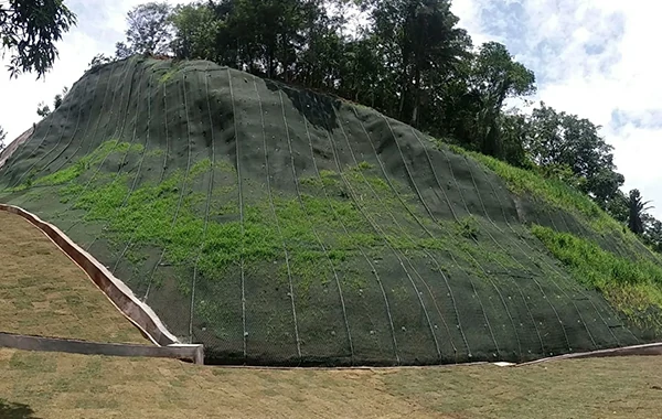 Slope Protection