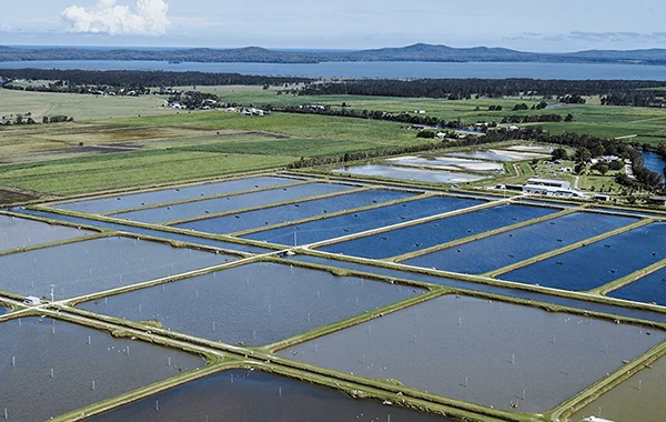 Aquaculture