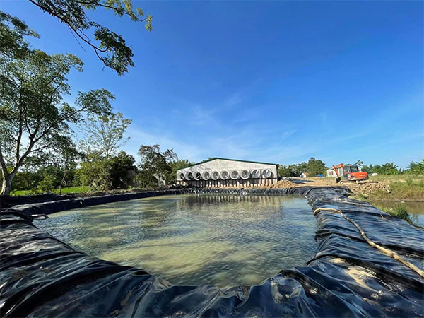 HDPE Geomembrane