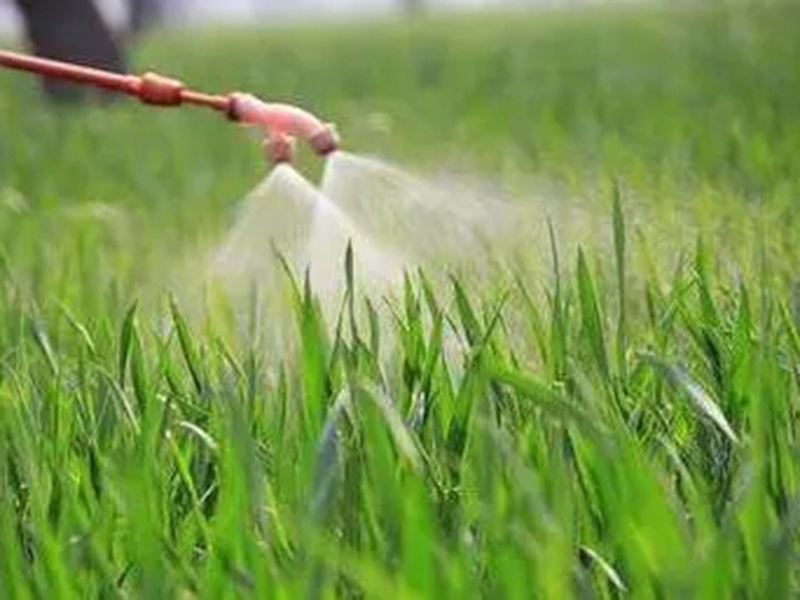 What is insecticide?