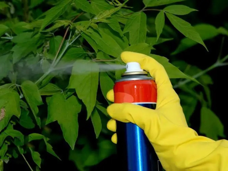How to identify ineffective pesticides