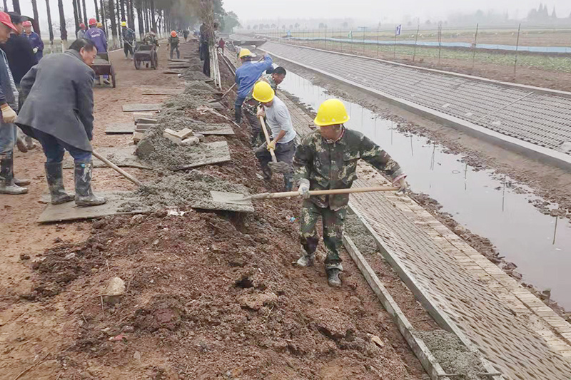 高标准农田