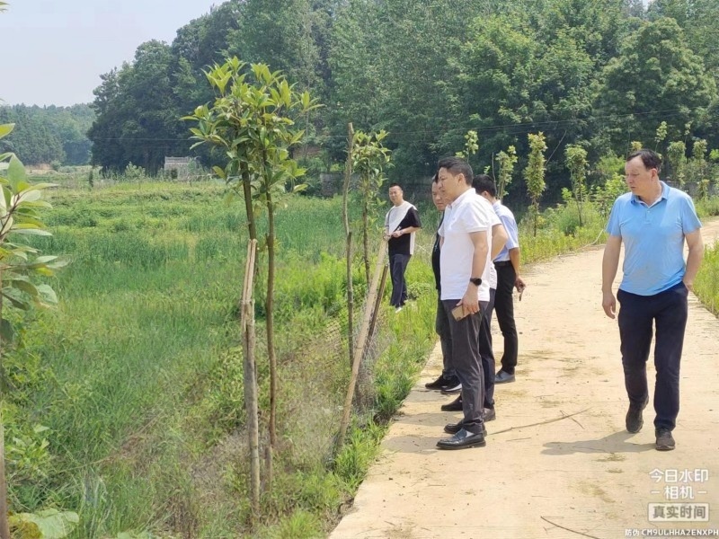 2023年6月4日水建集團(tuán)水建公司經(jīng)理馬剛（前排右1）組織2020年高標(biāo)準(zhǔn)農(nóng)田項(xiàng)目芙蓉村項(xiàng)目縣級(jí)專家驗(yàn)收