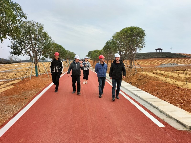 2023年2月21日水建集團紀委書記李雄帶領審計監(jiān)察部、工程管理部、勞務服務公司到新店鎮(zhèn)萬畝茶園?茶園里夢想小鎮(zhèn)項目檢查安全生產工作