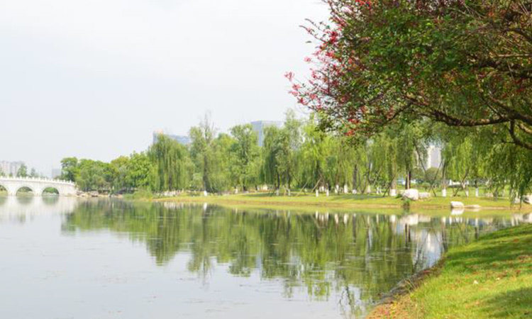 Jincheng Lake Wetland Park Jincheng Lake Wetland Park