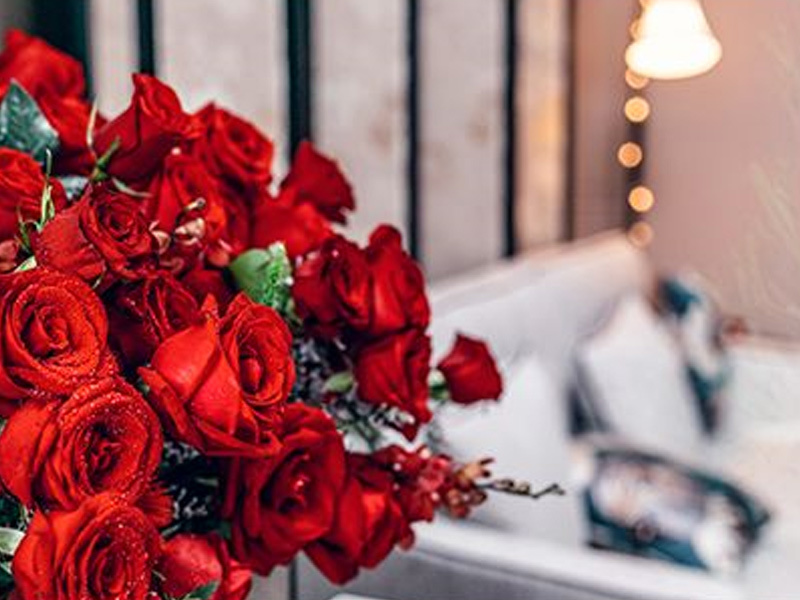 A Rose Dream, a love letter for Christmas Eve