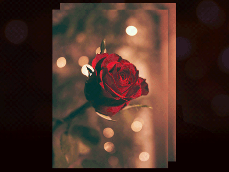 Christmas season, stay in the rose-colored "拾光"