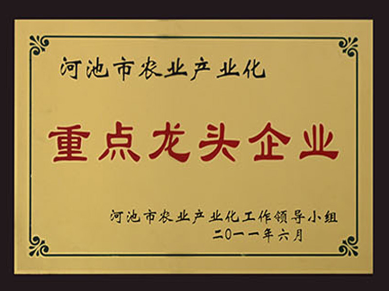 河池市農業(yè)產業(yè)化重點龍頭企業(yè)