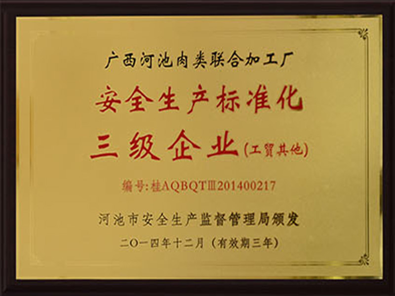 安全生產標準化三級企業(yè)