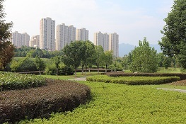 修水县秋湖里河岸景观绿化改造工程