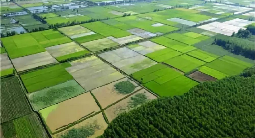 永修县2017年统筹整合资金推进高标准农田建设项目（虬津、燕坊镇片区）三标段
