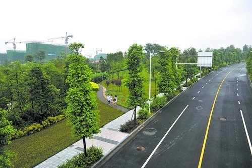 修水县城秀水大道市政绿化工程
