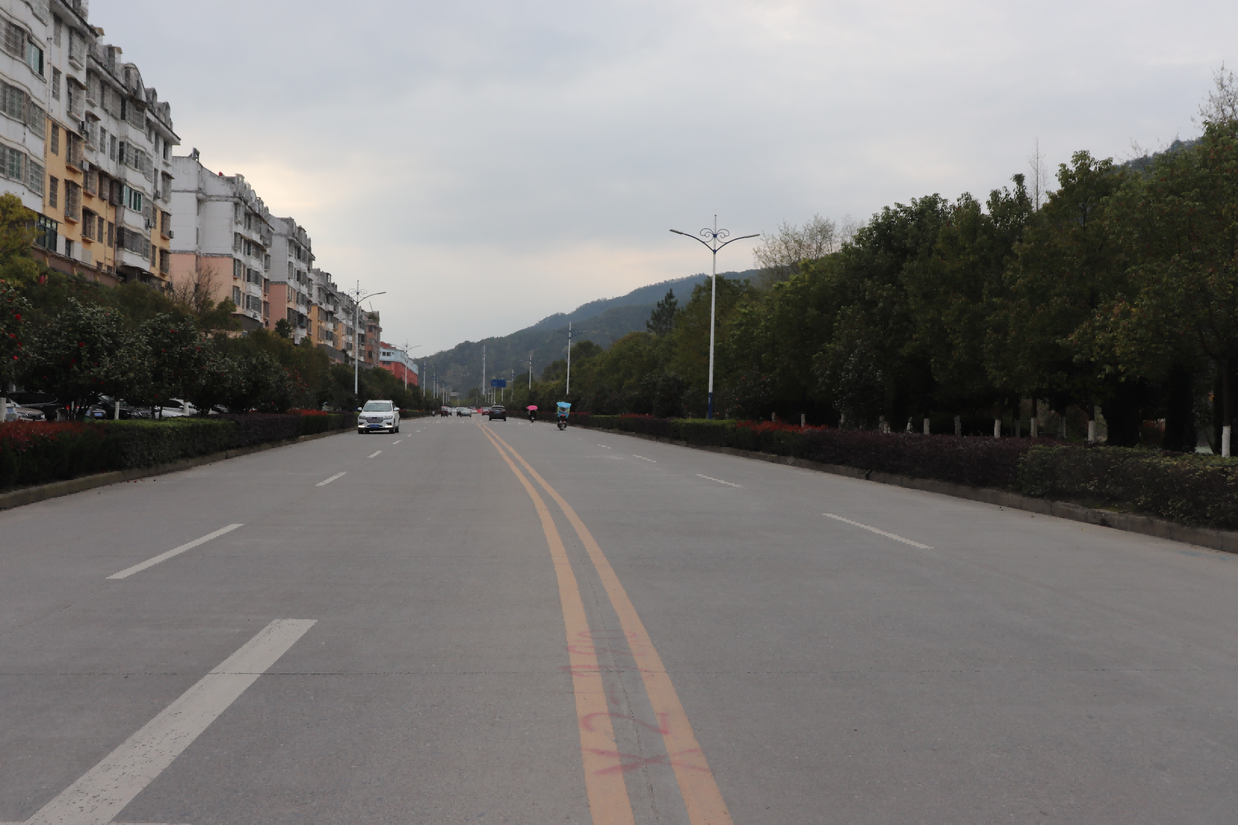 滨江西路园林景观工程