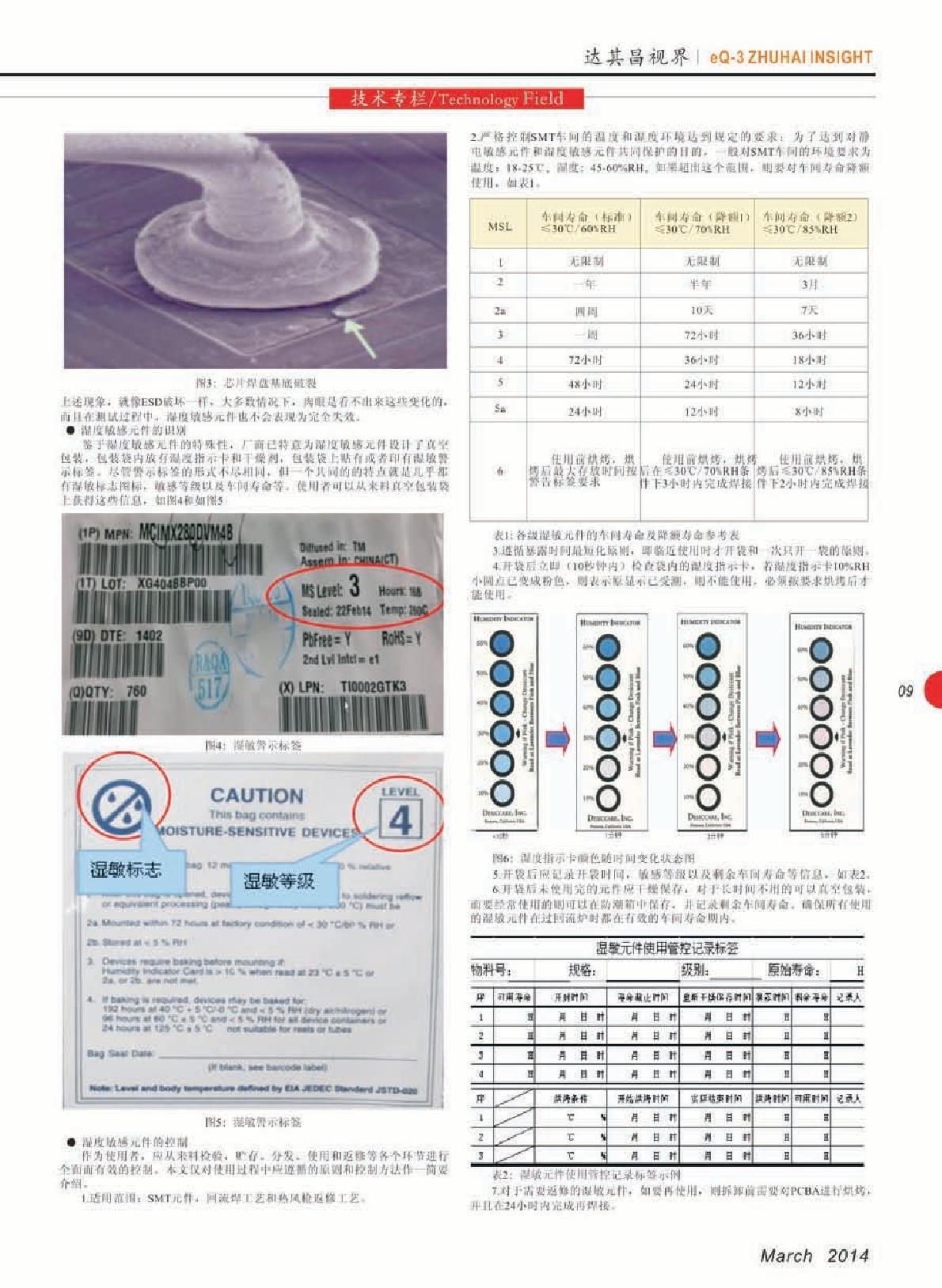 第十一期