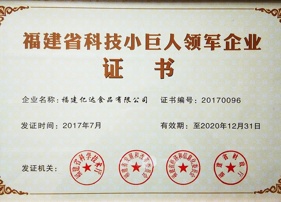 福建省科技小巨人领军企业