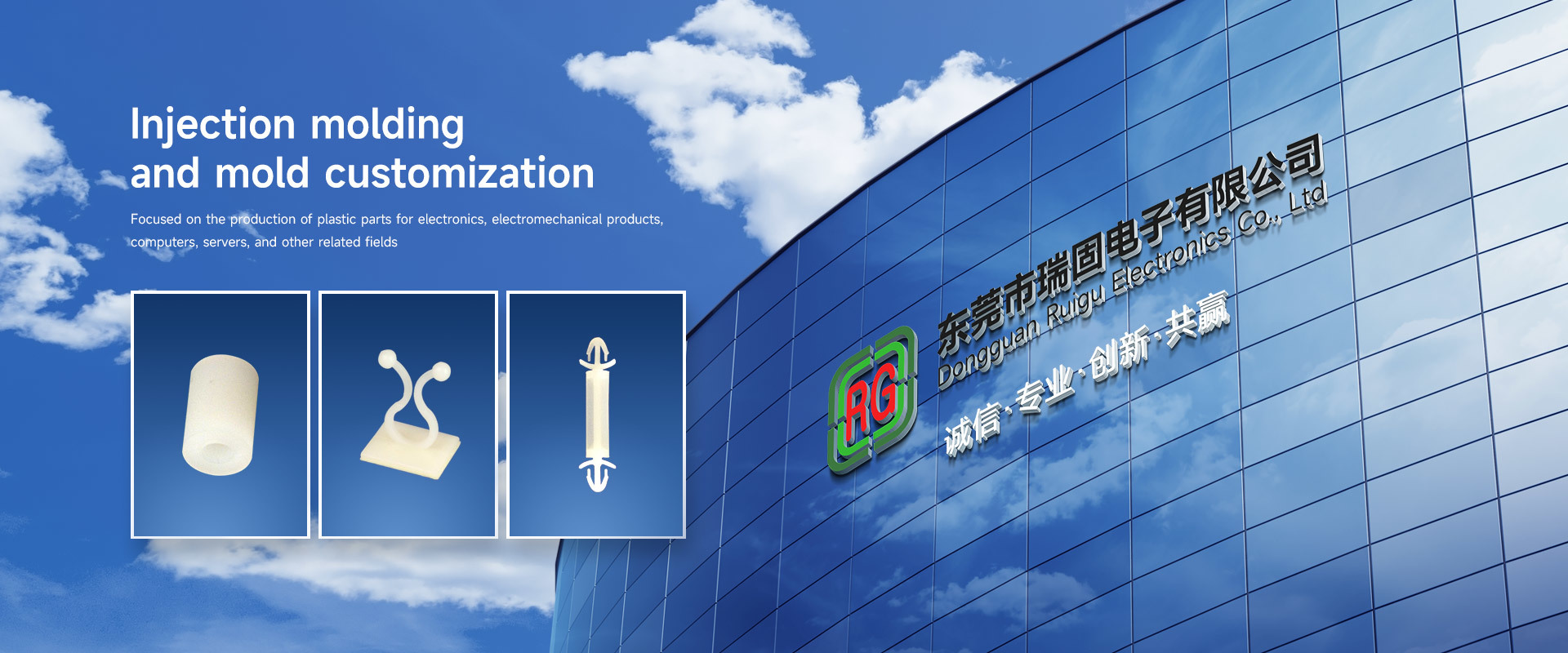 Ruigu Electronics