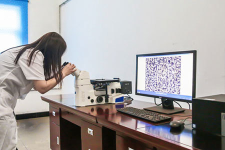 Laboratory Metallography