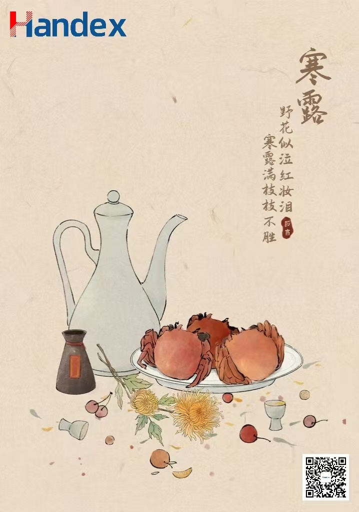 寒露｜野花似泣红妆泪，寒露满枝枝不胜