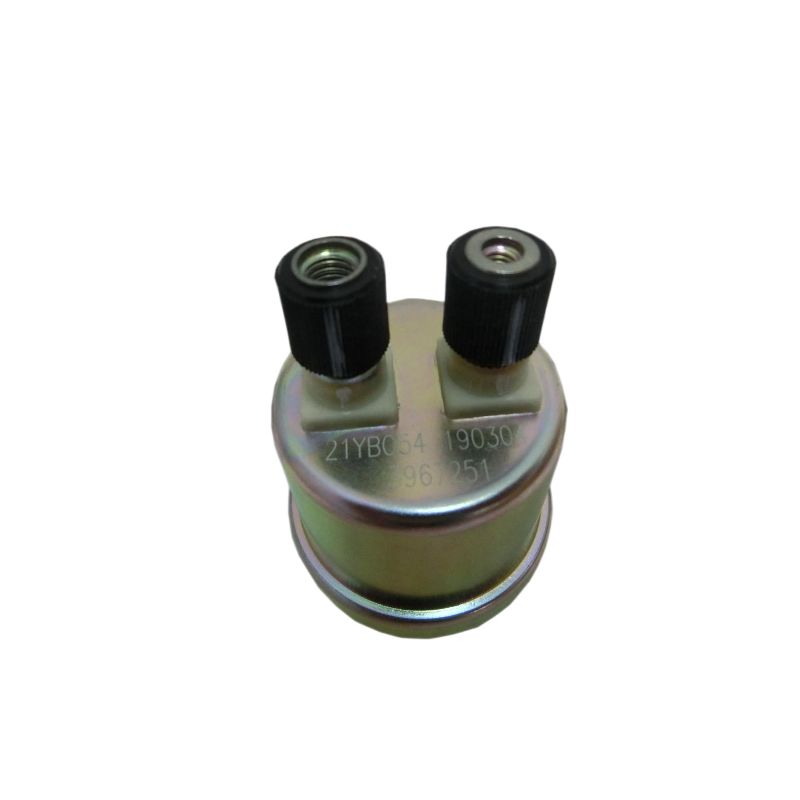 Sensor