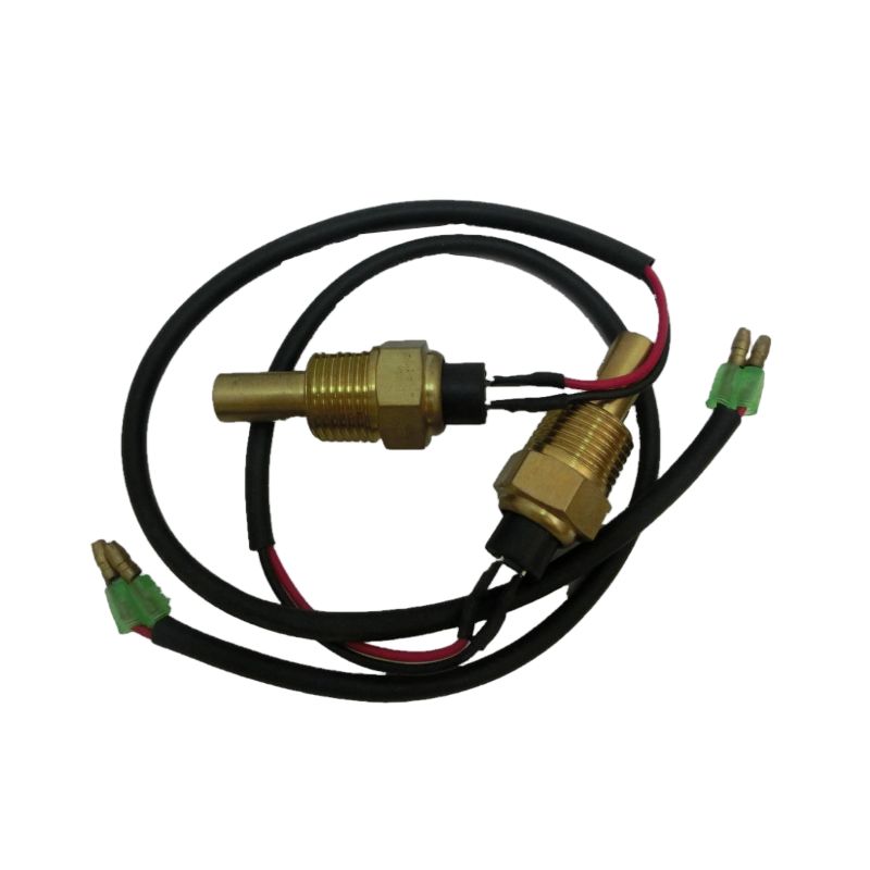 Sensor