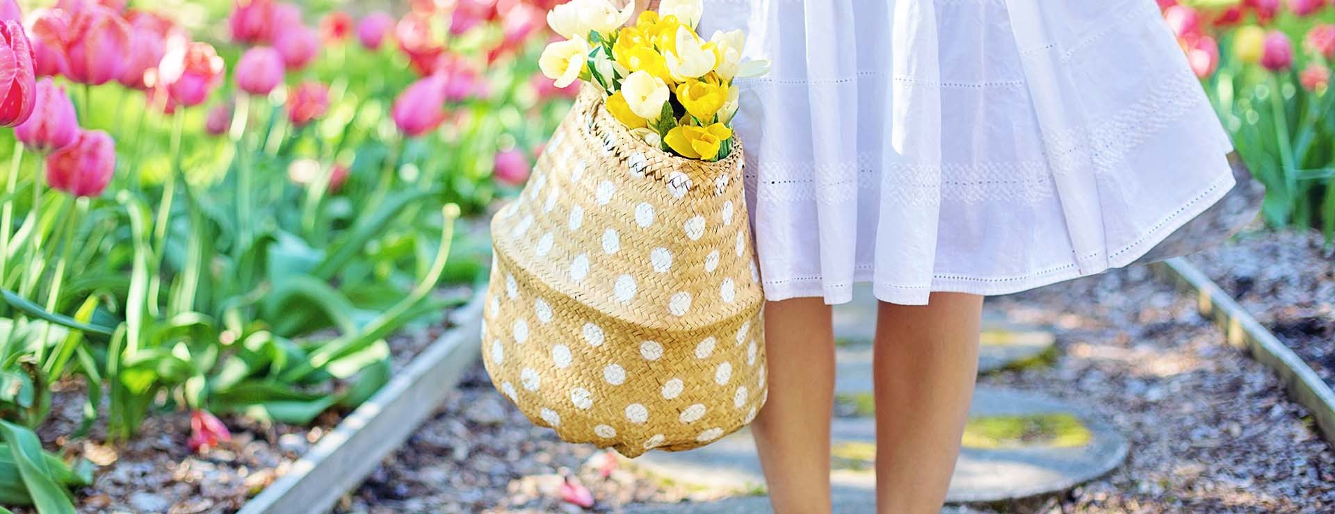 Outdoor and Garden