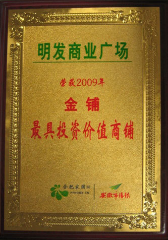 Shop with Highest Investment Value in 2009 Shop with Highest Investment Value in 2009