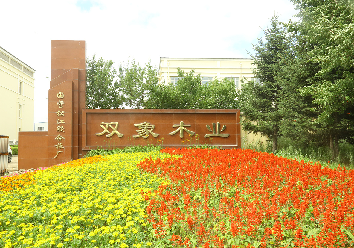 厂房展示