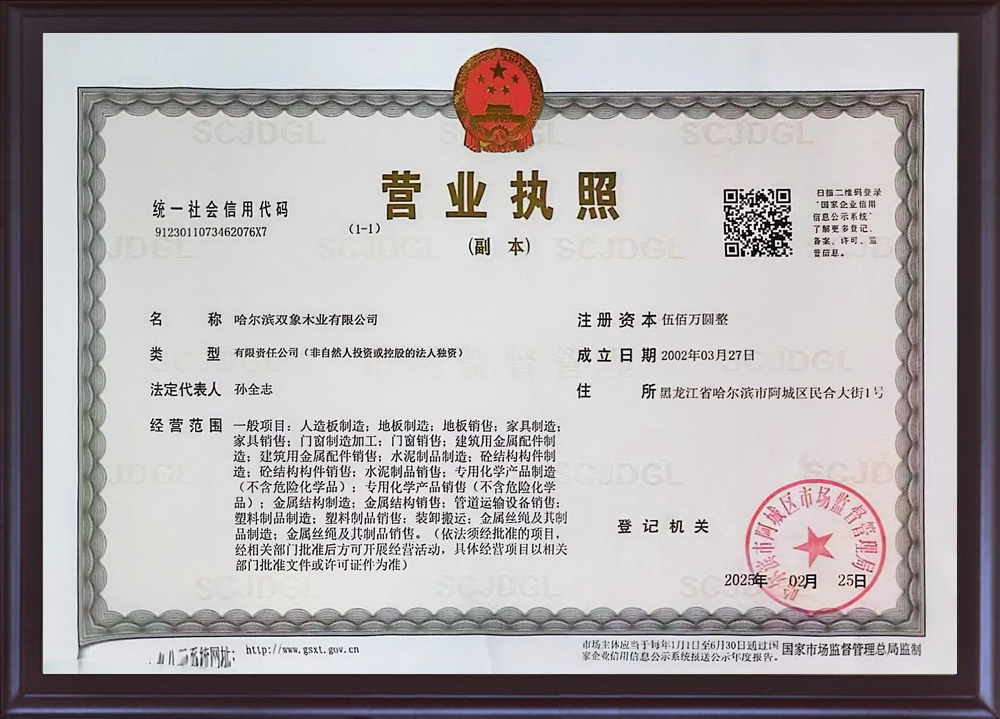 营业执照 营业执照